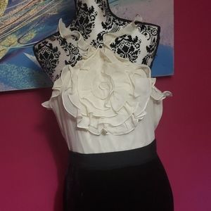 BCBG gown, cream chiffon like and black velvet